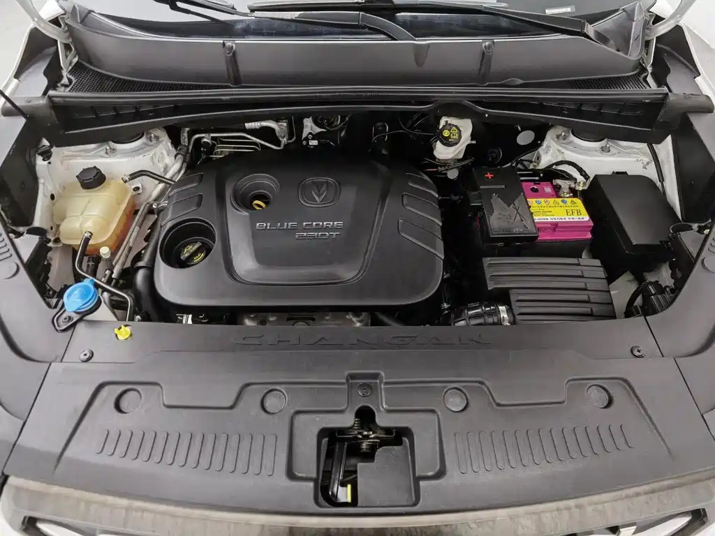 Changan CS55 2017 2017 1.5T Automatic Colorful Edition