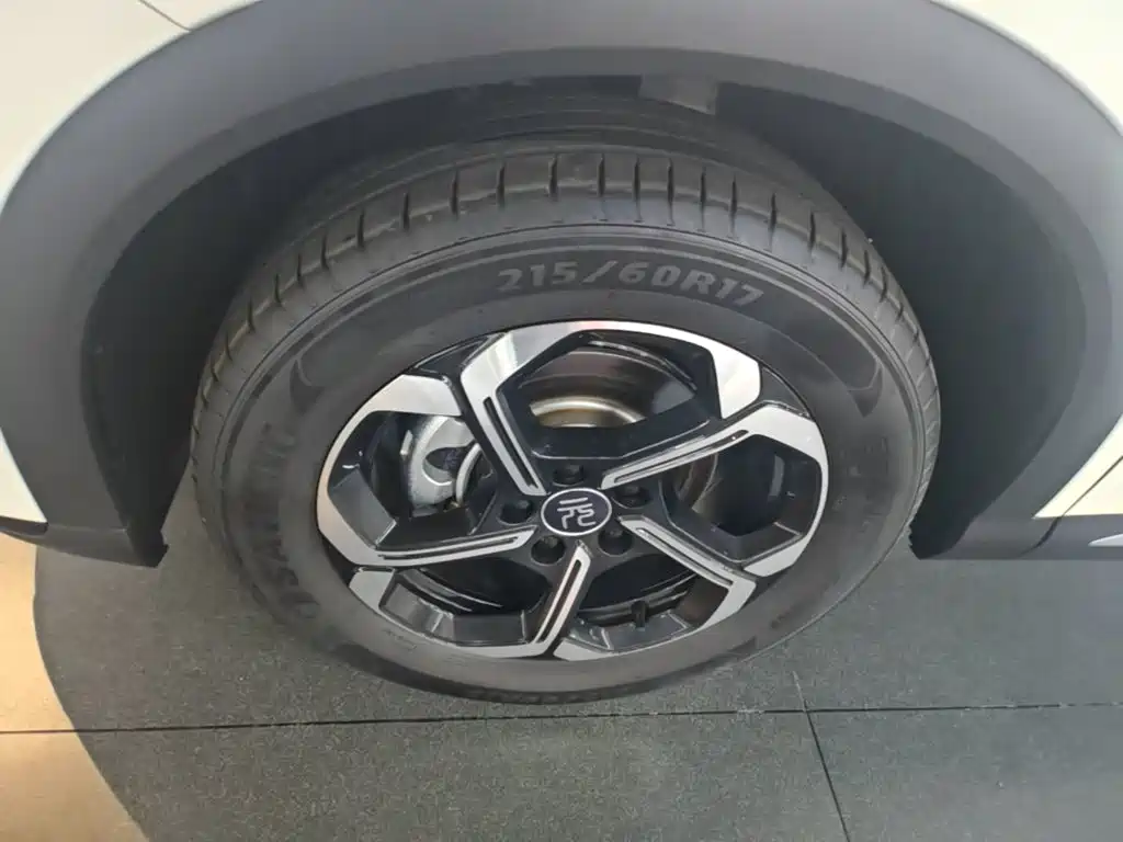 BYD Yuan PLUS 2026 2025 Model Intelligent Driving Edition 510KM Leading Version