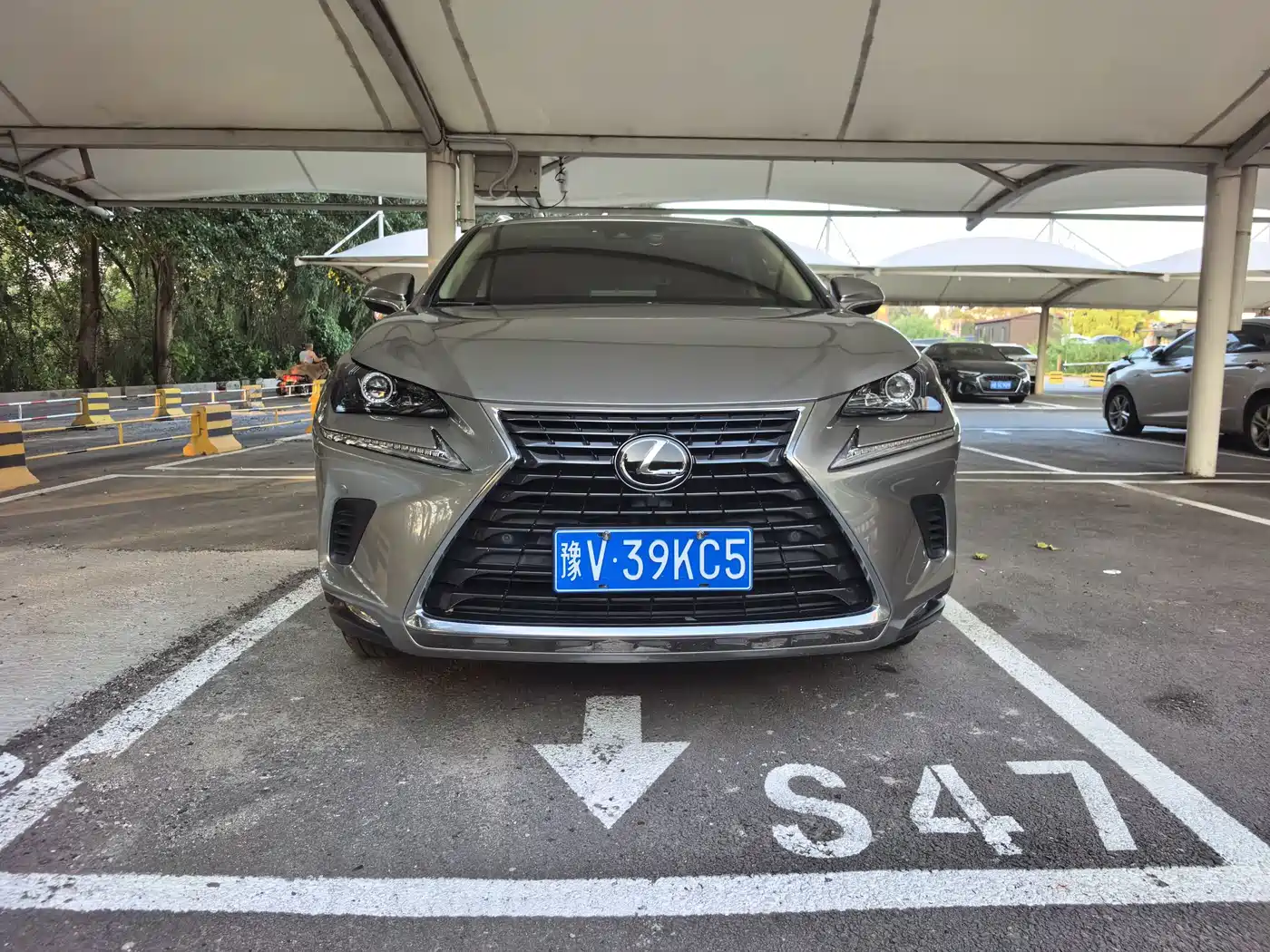 Lexus NX, миниатюра 2