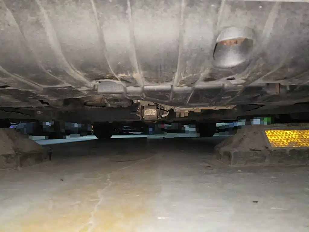 Photo 10 - Hyundai Langdong