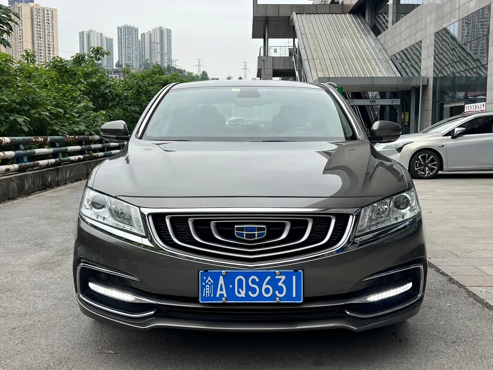 Фото 3 - Geely Borui