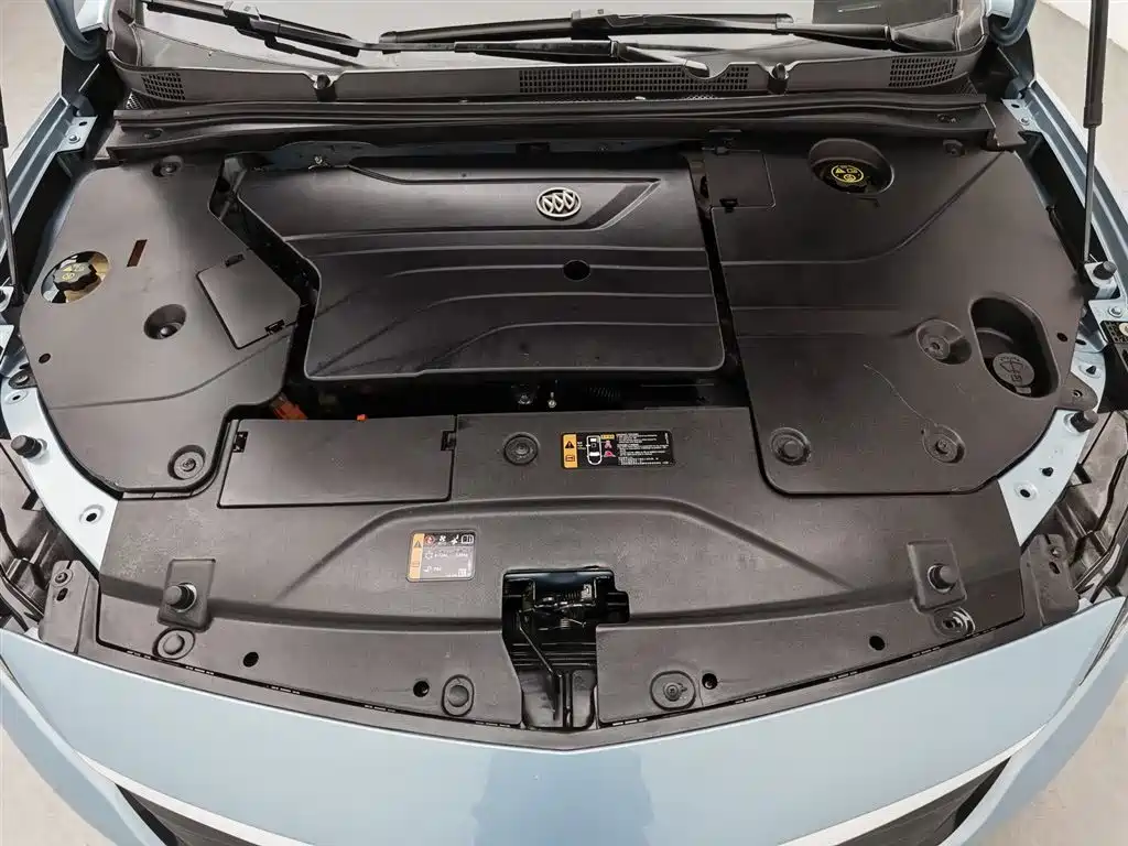 BUICK SLIGHTLY BLUE 6