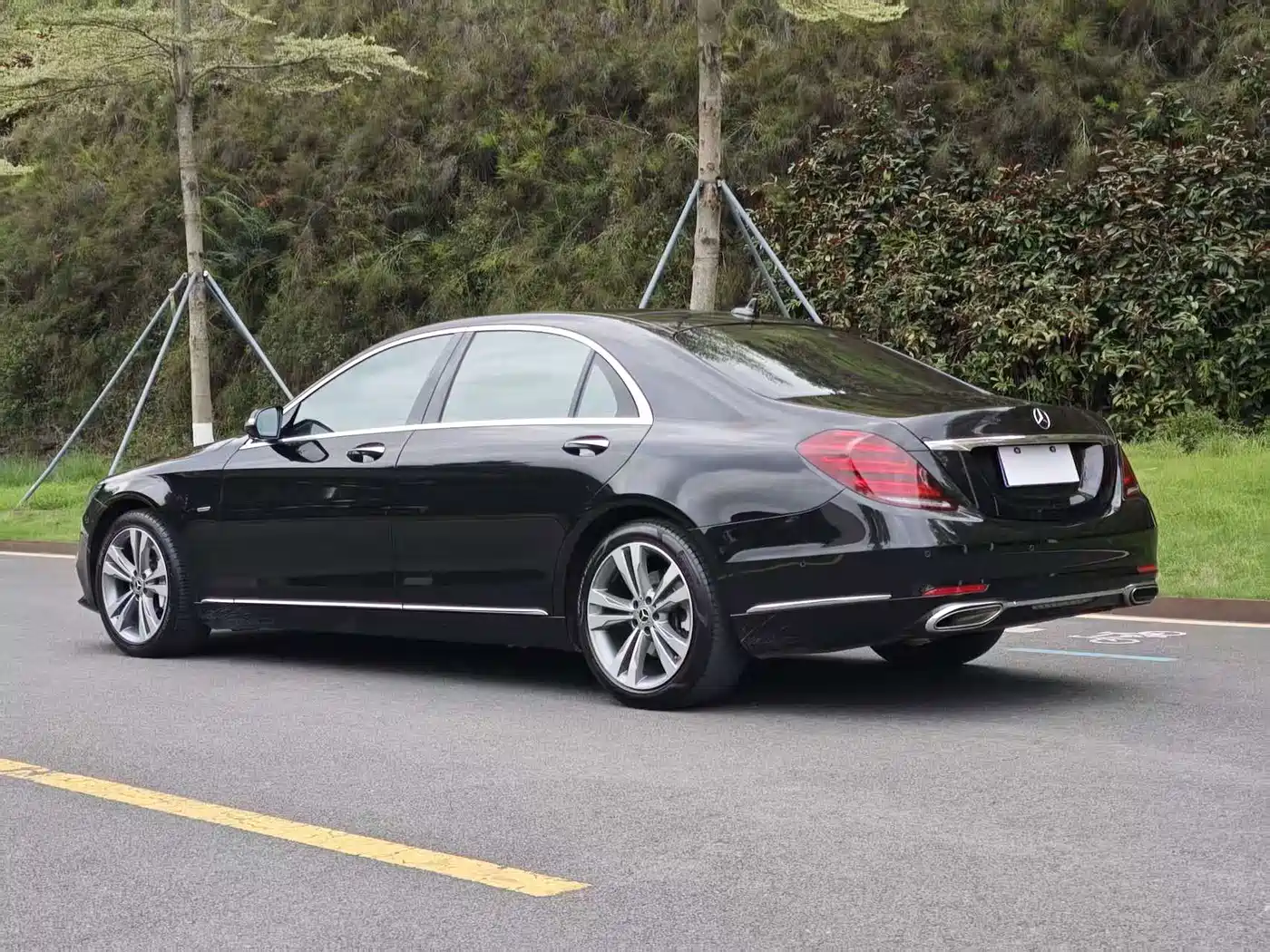 Mercedes-Benz S-Class 2020 S 350 L Premium Edition Collector's Version фото 7