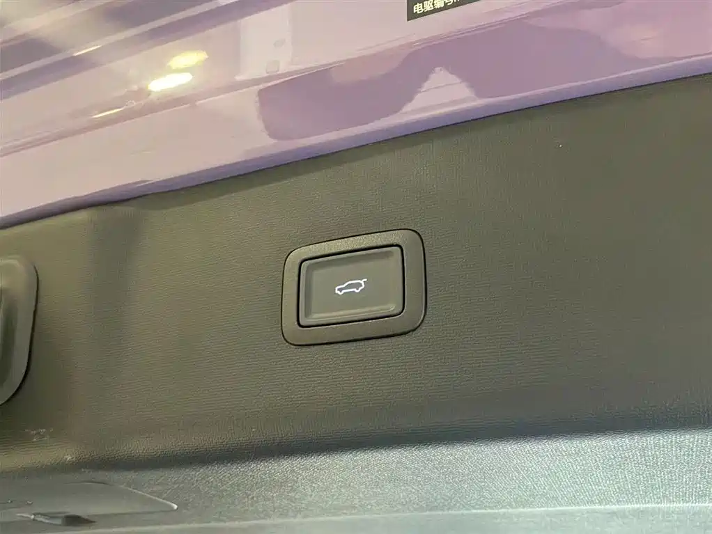 Hongqi HONGQI TIANGONG 08