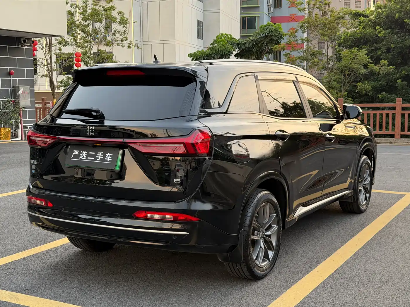 Landian E5 2024 2024 Glory Edition 100KM Premium Type 7-Seater