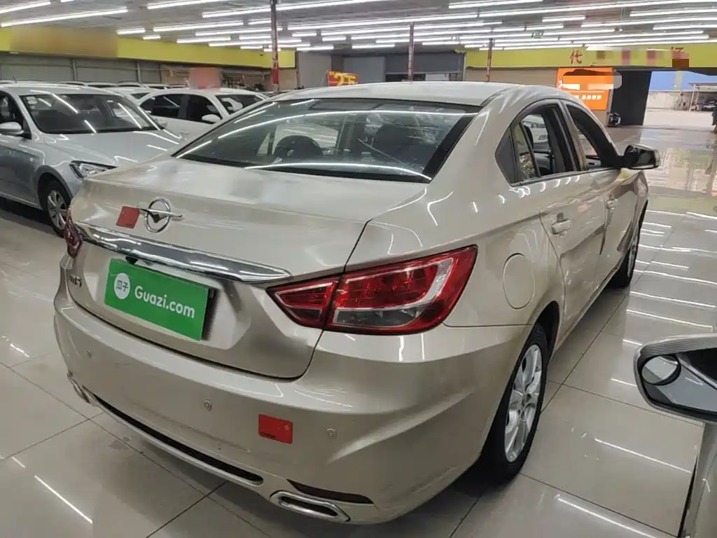 Фото 7 - Haima Familia