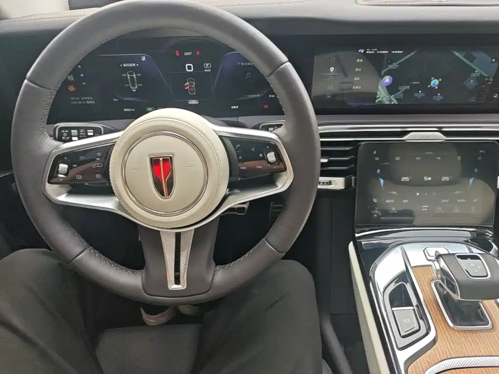 Hongqi E-HS9 2023 2021 460km Flagship Comfort 6-seater