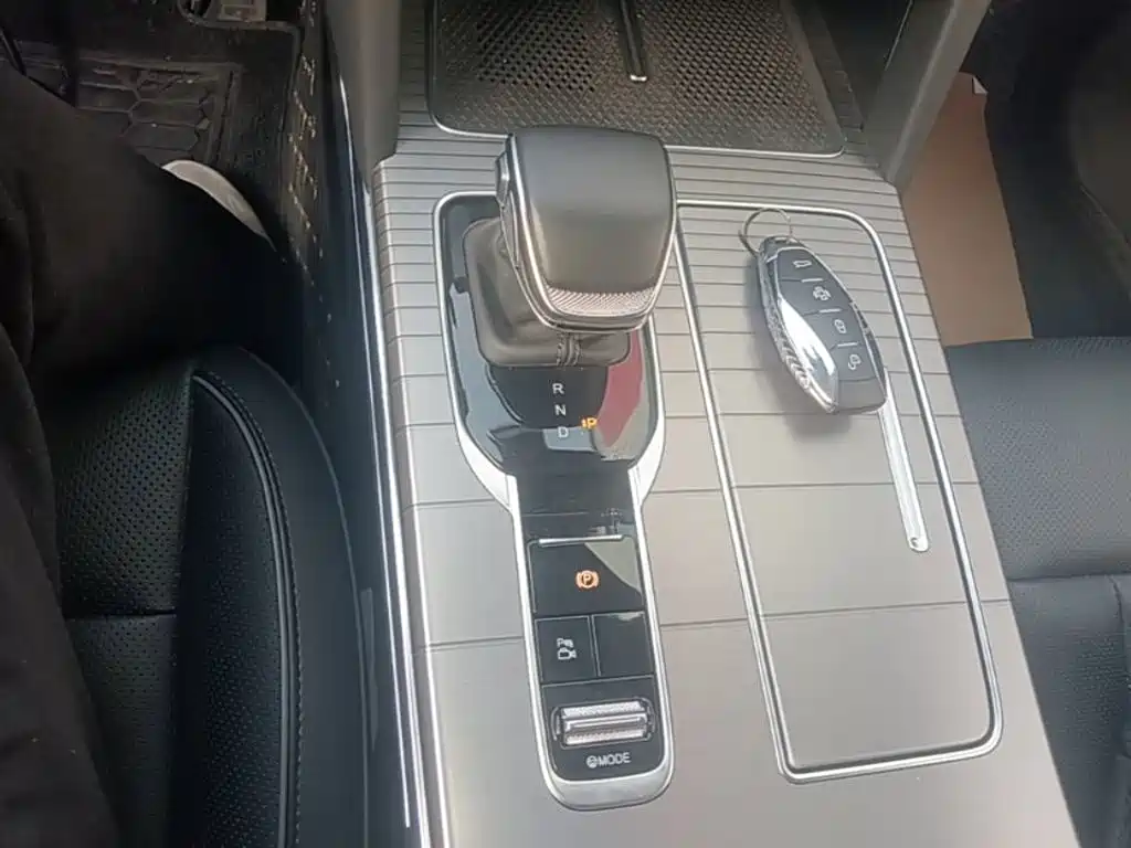 Photo 14 - Hongqi HS7 PHEV