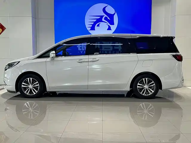 Buick GL8 2020 Model ES Landglory 653T Comfort — фото 4