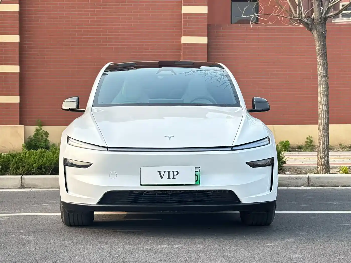Tesla Model Y L 2025 Facelift Long Range AWD фото 2