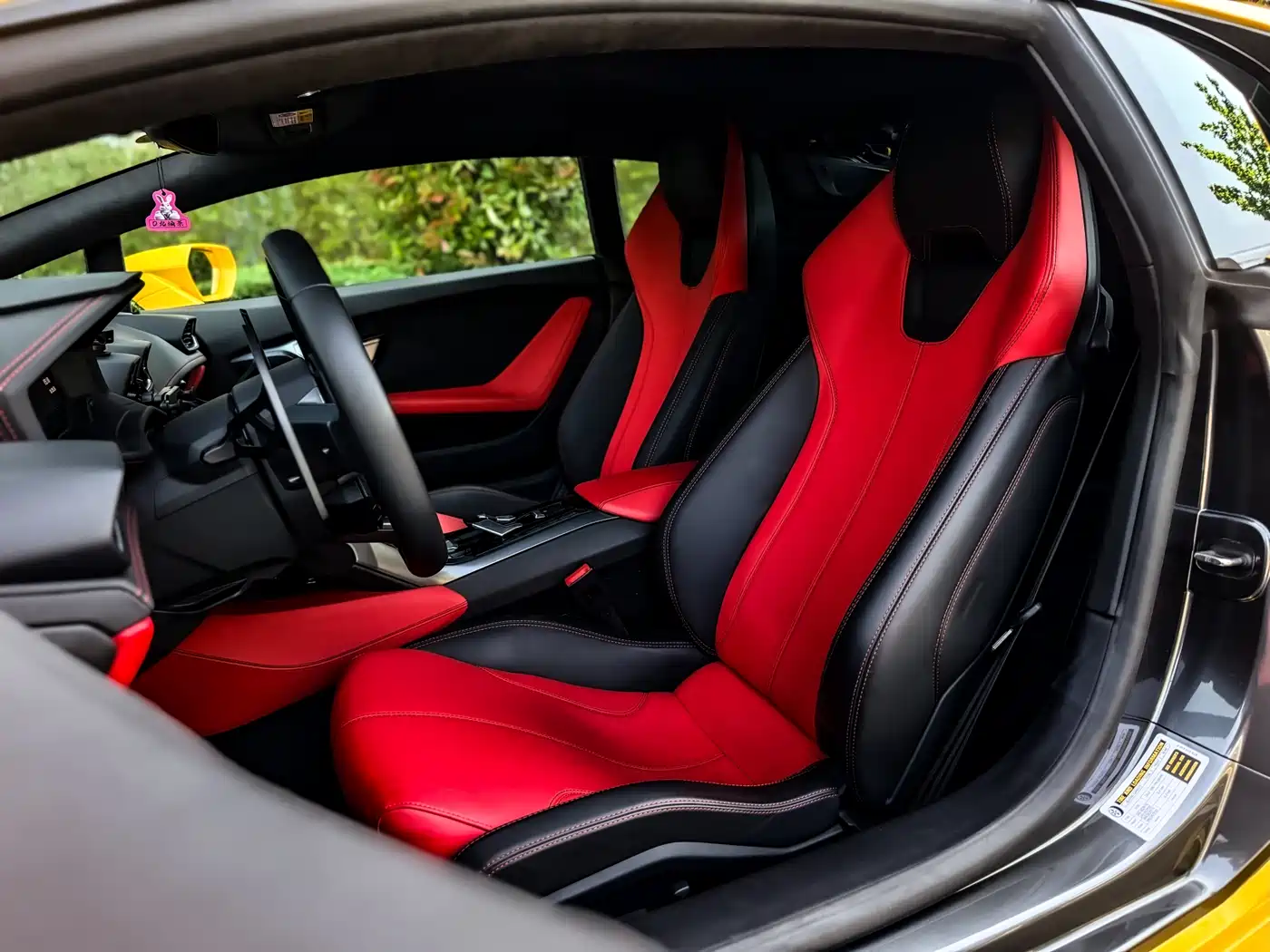 Lamborghini Huracán 2016 Huracán Coupe фото 14