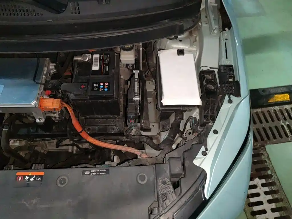 Geely Geometry E Firefly 2022 2023 401KM Linglong Tiger 5-Seater