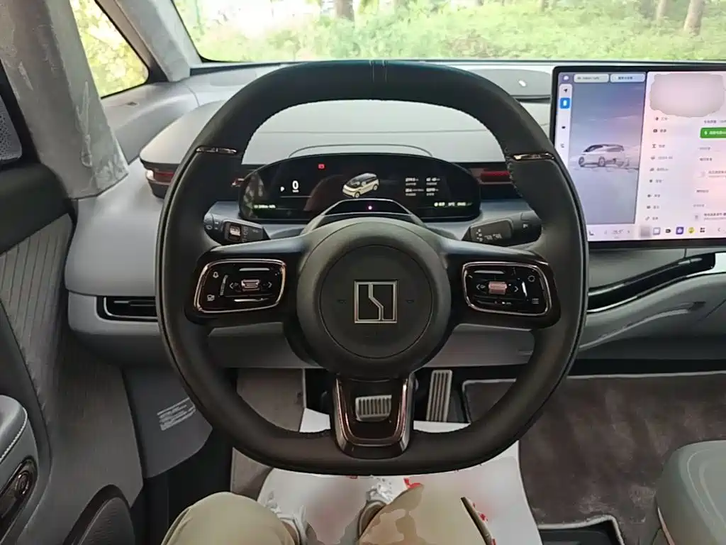 ZEEKR MIX 2025 2025 Long Range Intelligent Driving Edition