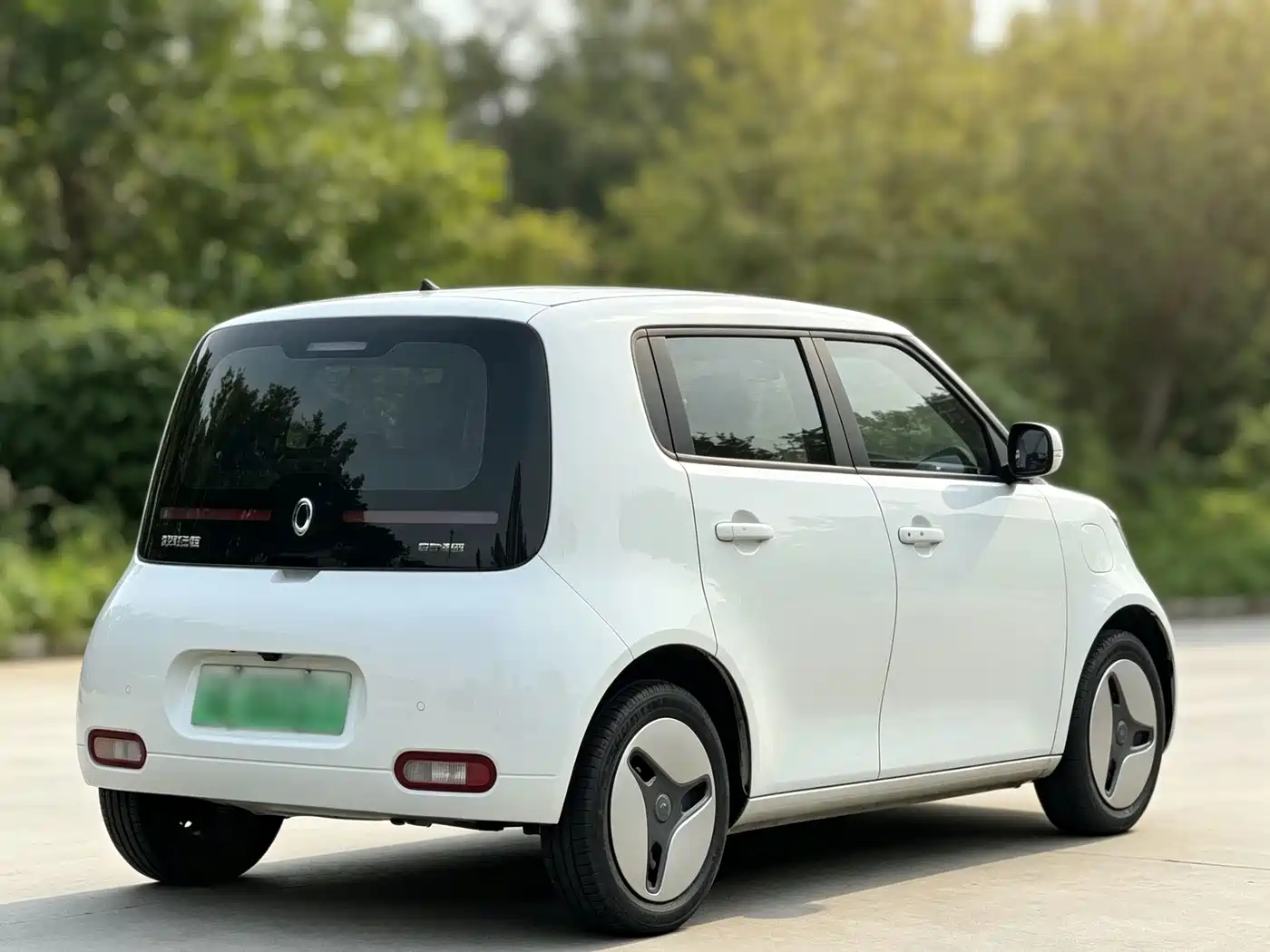 Ora White Cat 2021 2020 360km Luxury Model