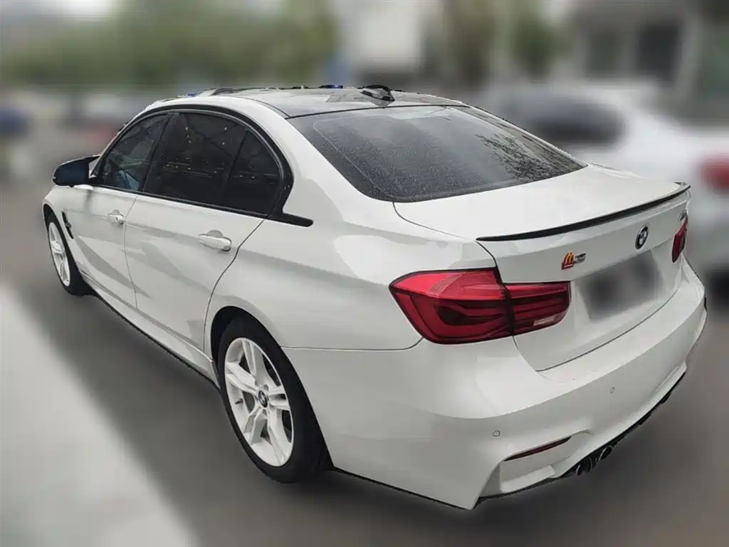 BMW 3 Series 2019 320Li M Sport Package фото 9