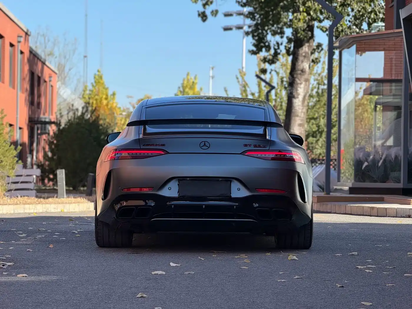 Mercedes-Benz AMG GT 2019 AMG GT 63 S 4MATIC+ 4-Door Coupe фото 20