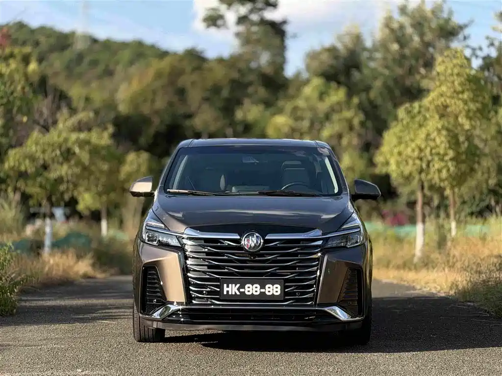 Фото 2 - Buick GL8
