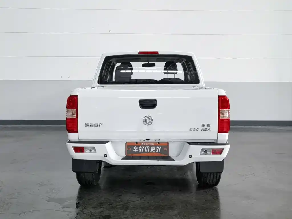 2022 Dongfeng Ruiqi
