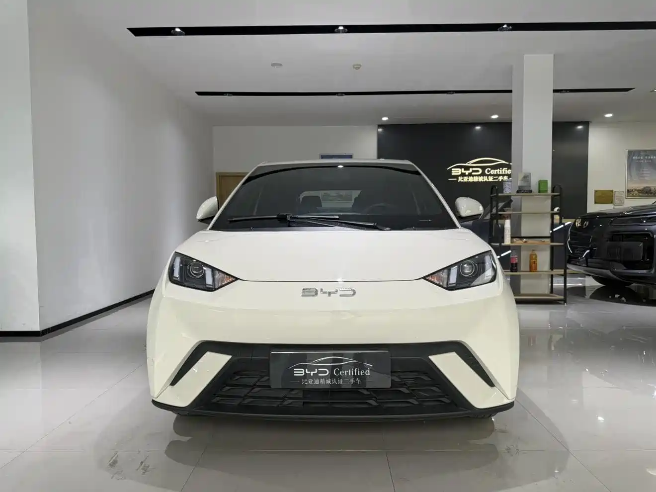 BYD Seagull 2025 305km Vitality фото 15