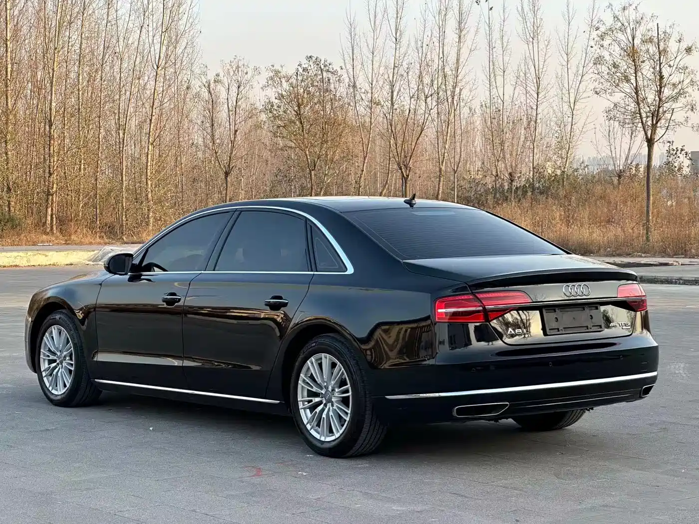 Audi A8 2016 A8L 45 TFSI quattro Comfort фото 11