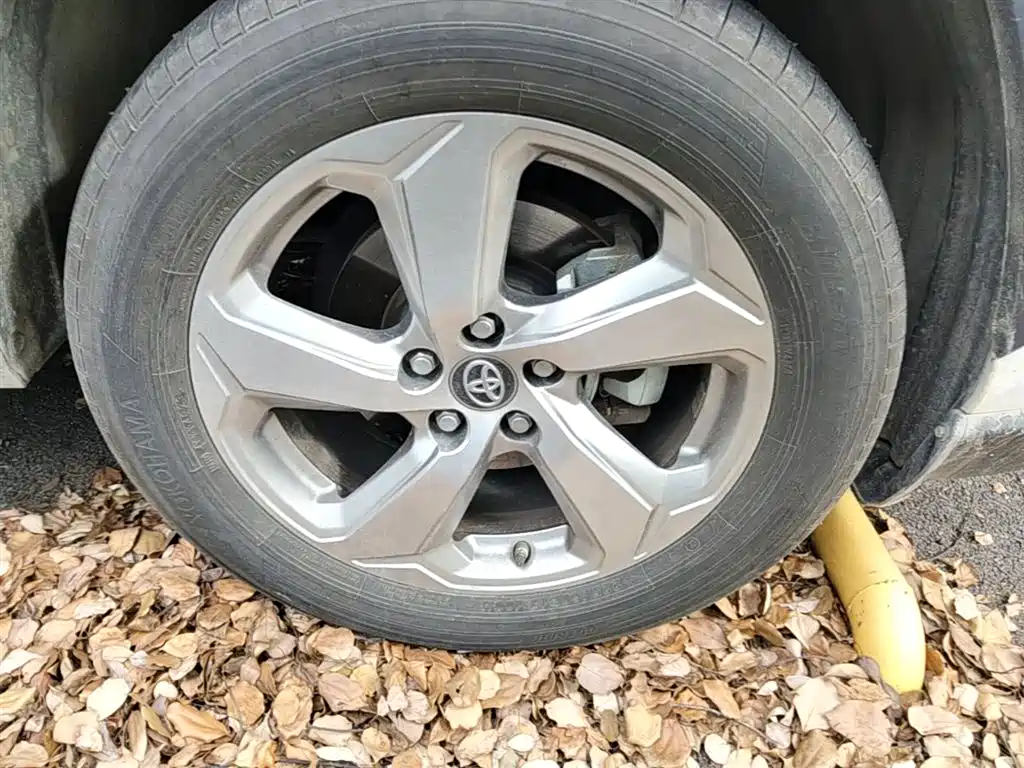 Toyota RAV4 Rongfang 2020 2.0L CVT AWD Trend Edition фото 14