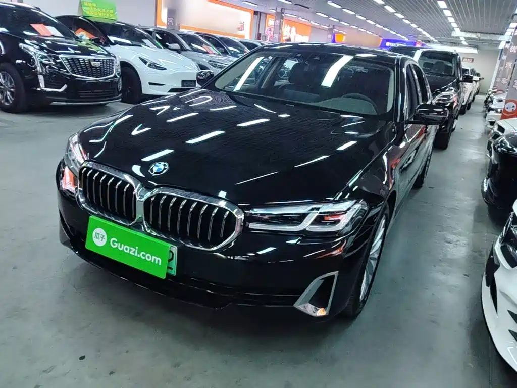 BMW 5 Series New Energy 2021 — пригон из Китая
