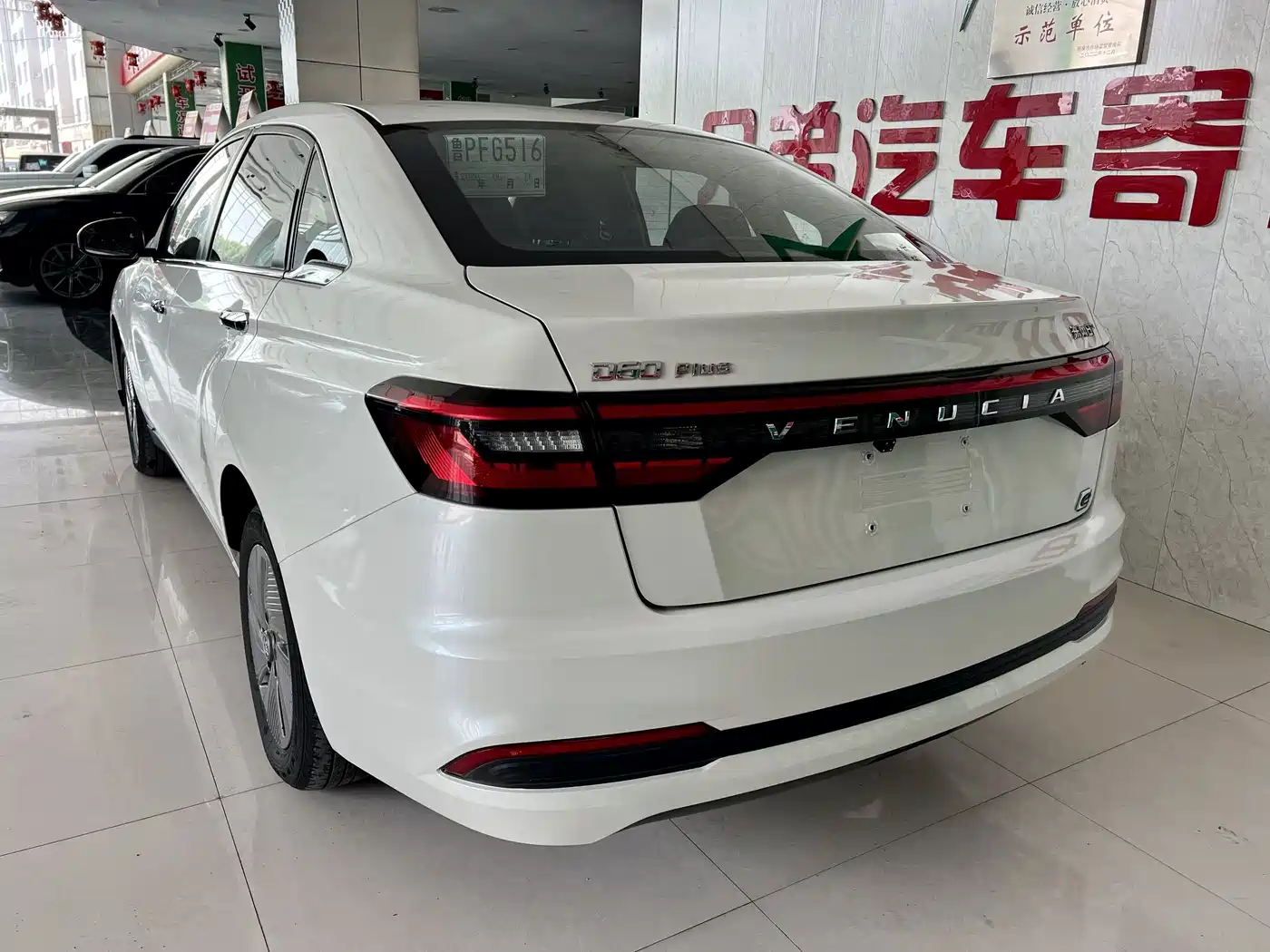 Venucia D60EV 2024 2023 PLUS Comfort RJ Type