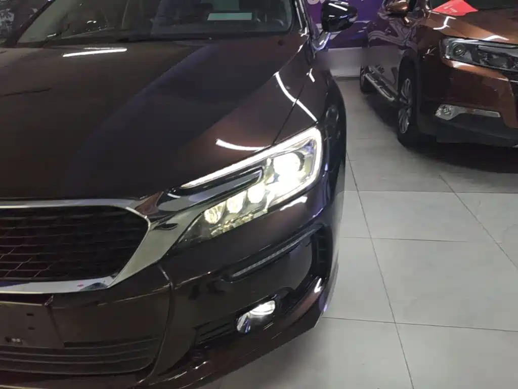Фото 24 - DS 5LS