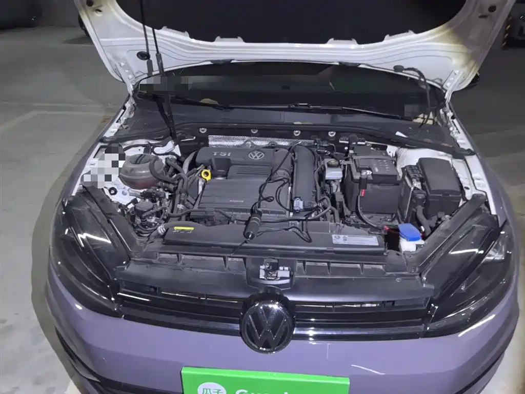 Volkswagen Golf 2019 280TSI DSG Luxury China VI фото 11
