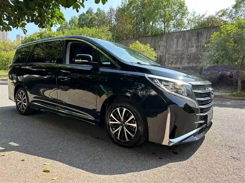 GAC Trumpchi Trumpchi M8 2021 Leading Show Series 390T Premium Edition фото 4