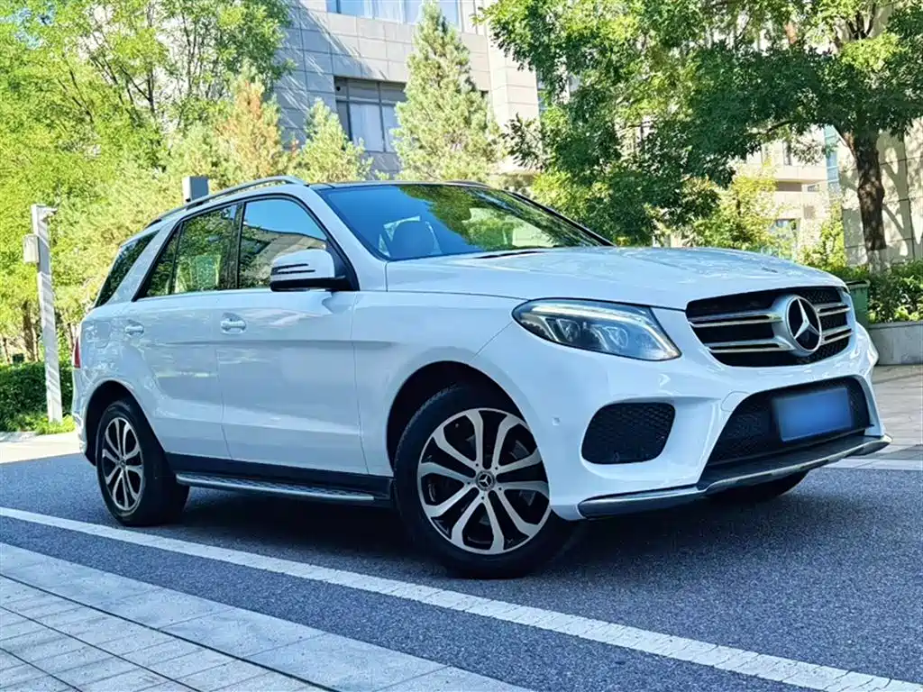 Mercedes-Benz GLE 2016 GLE 320 4MATIC Luxury фото 23