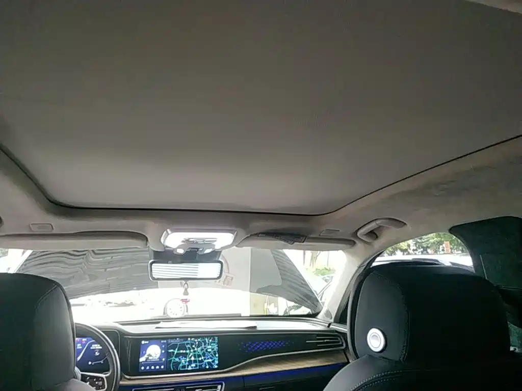Hongqi H9 2021 2020 3.0T Smart Connect Flagship 4-Seater
