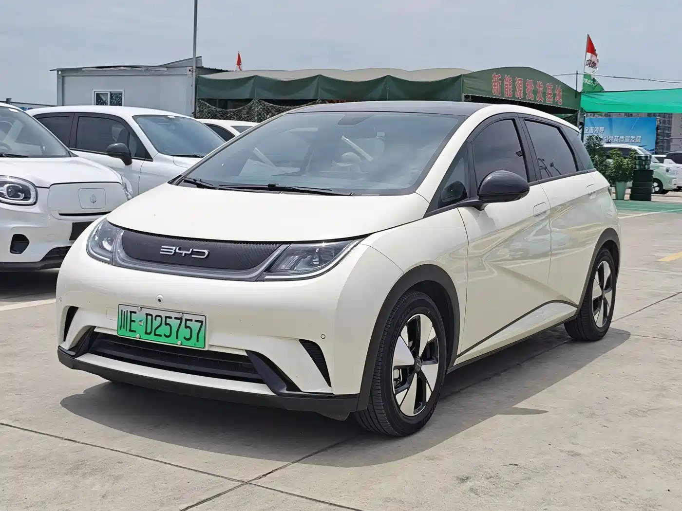 BYD Dolphin 2023 420km Fashion Edition