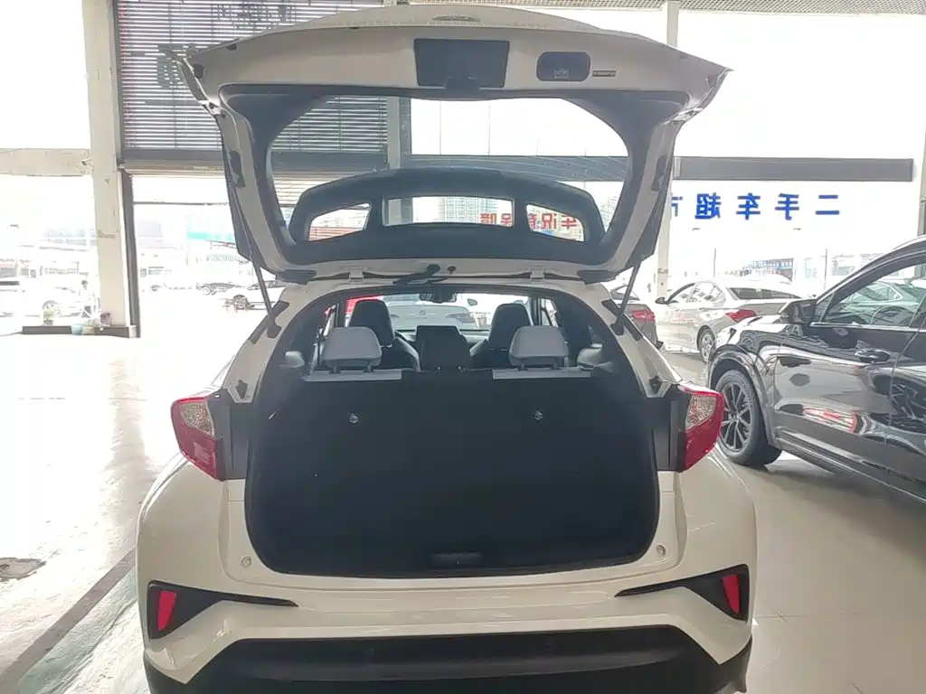 Toyota IZOA 2021 2021 2.0L Yixiang Edition