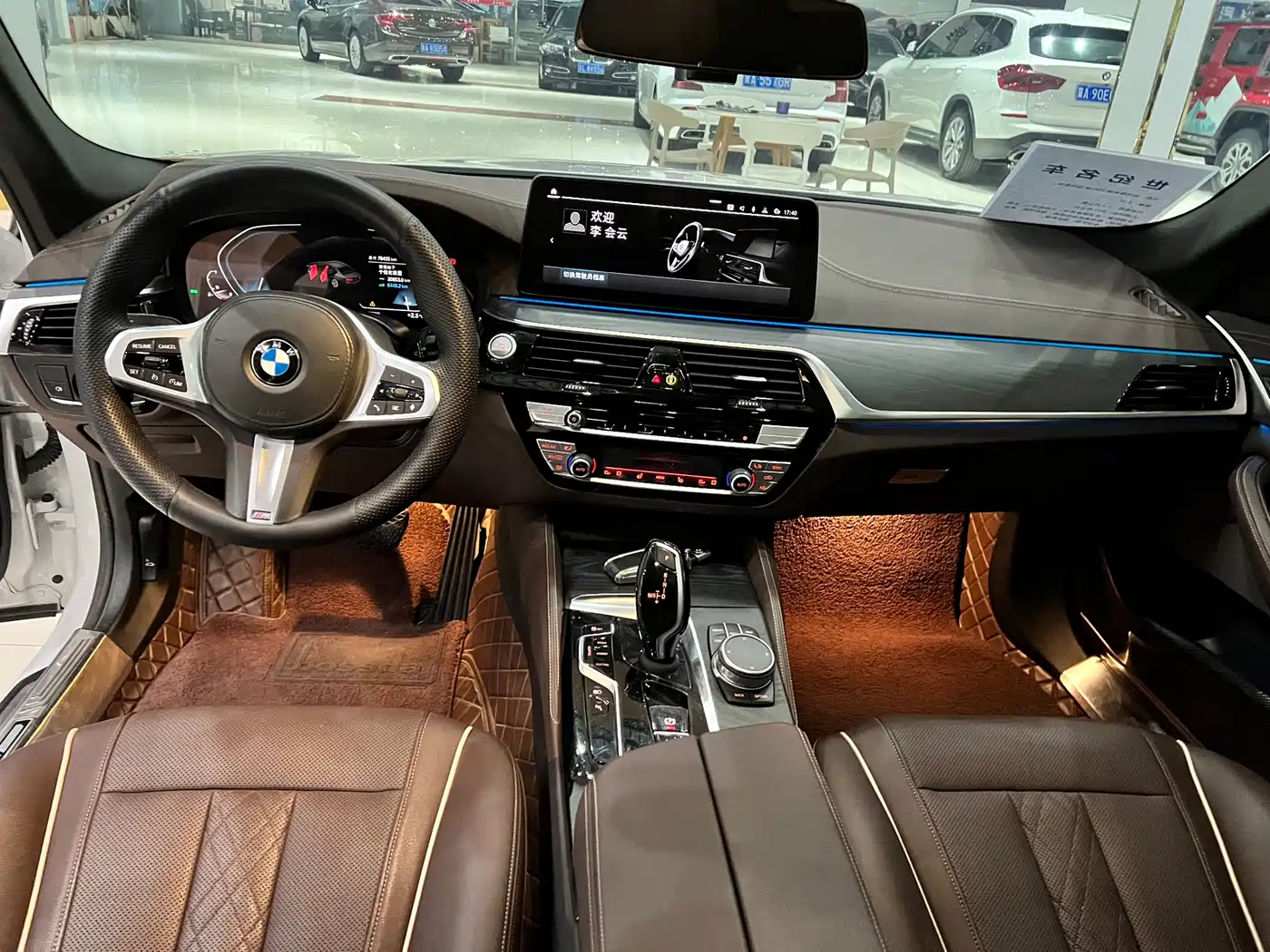 BMW 5 SERIES NEW ENERGY