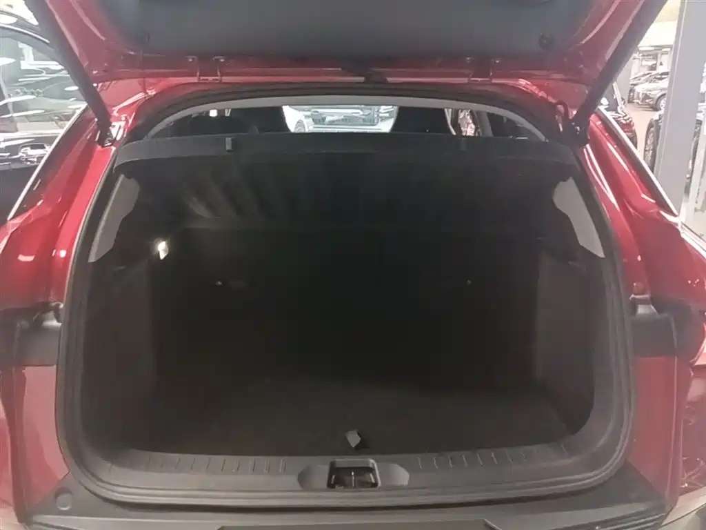 BYD Yuan PLUS 2022 510KM Flagship PLUS фото 19