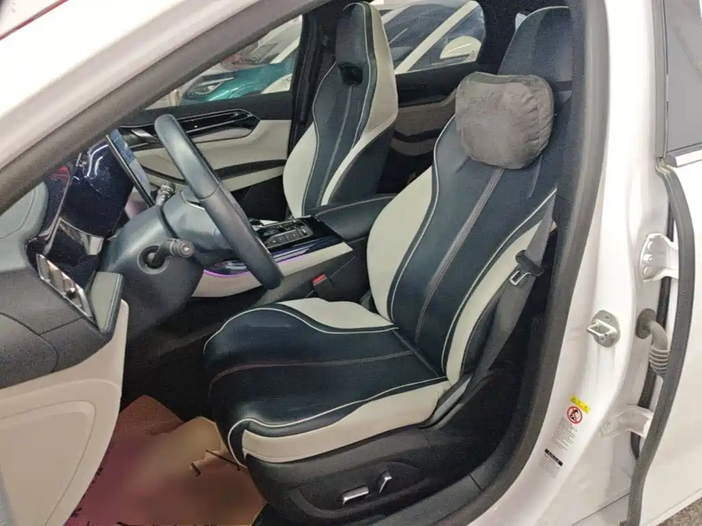 BYD Qin PLUS 2021 2021 EV 500KM Premium Model