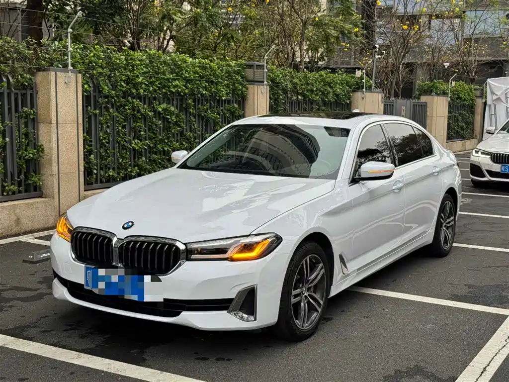 BMW 5 Series 2021 530Li Leading Luxury Package