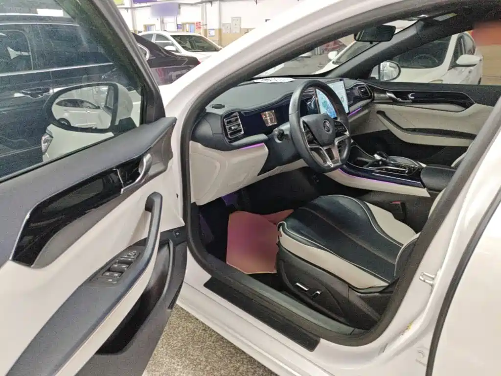 BYD Qin PLUS 2021 2021 EV 500KM Premium Model