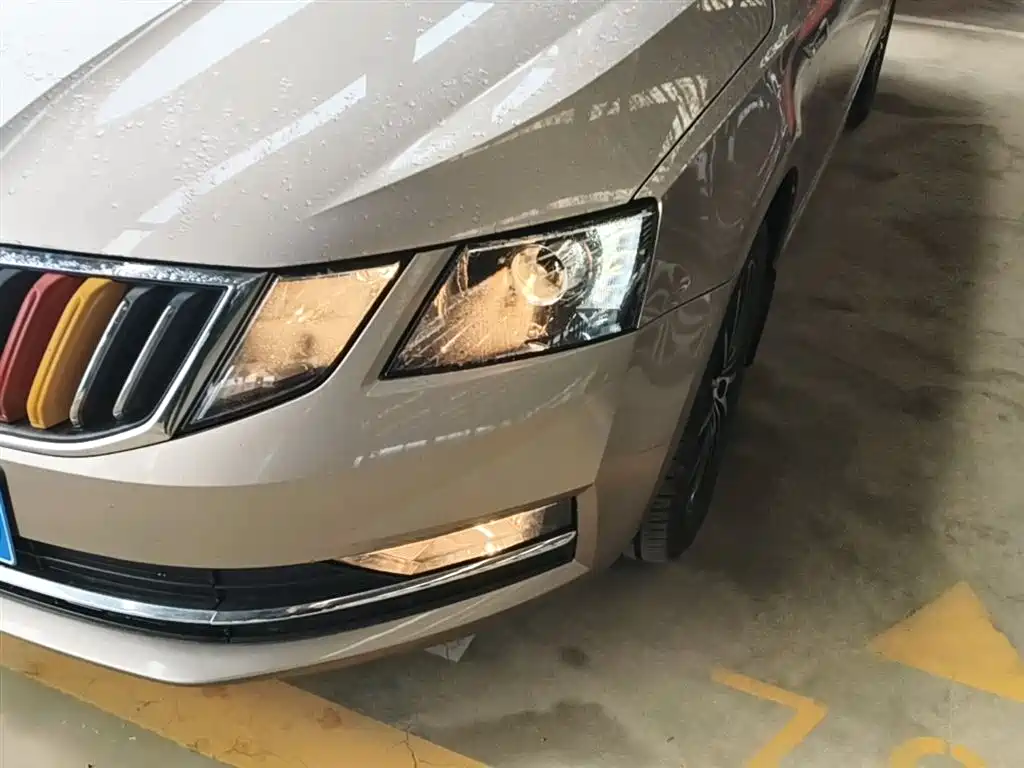 Škoda Octavia 2018 TSI230 DSG Luxury Edition фото 24