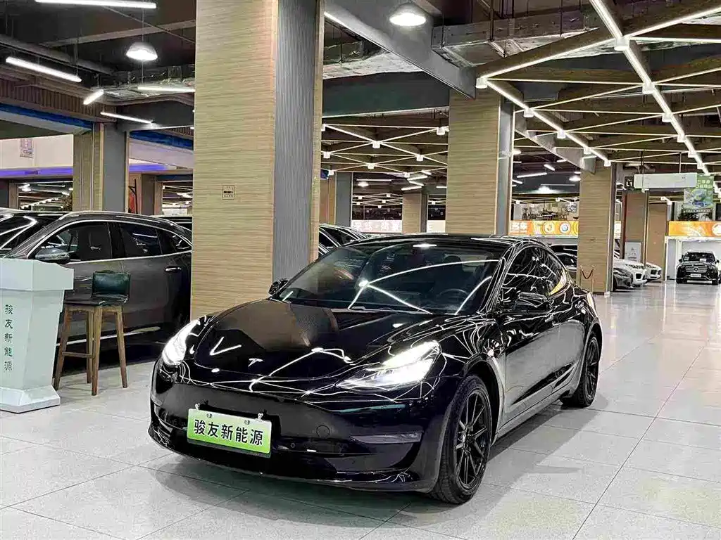 Tesla Model 3 (Import) 2019 2019 Long Range RWD Version