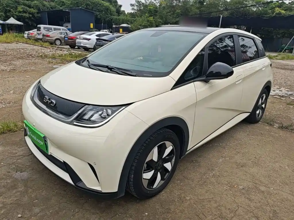 BYD Dolphin 2024