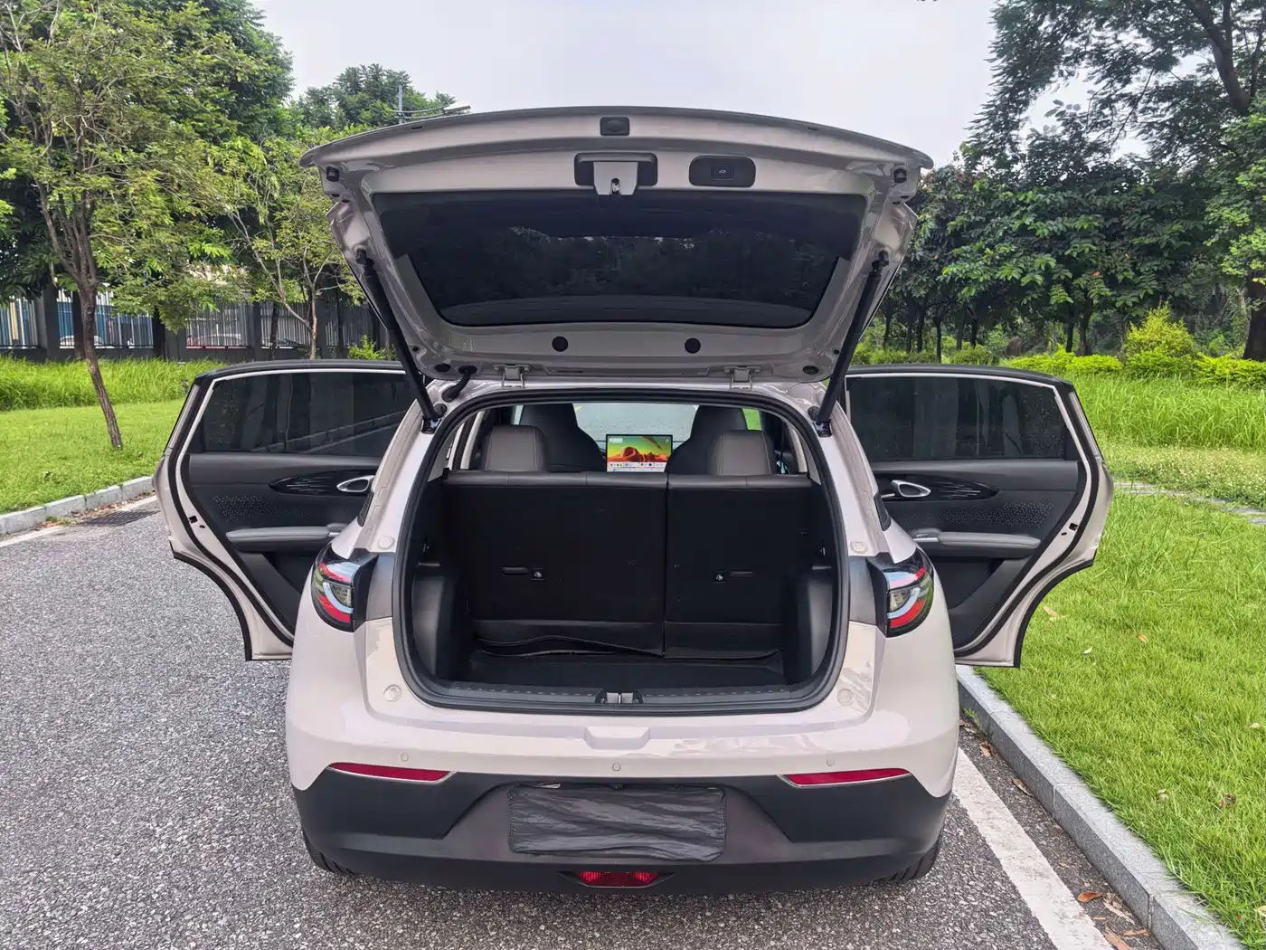 Geely Galaxy Starry Wish 2026 2026 Edition 410km Freedom Version