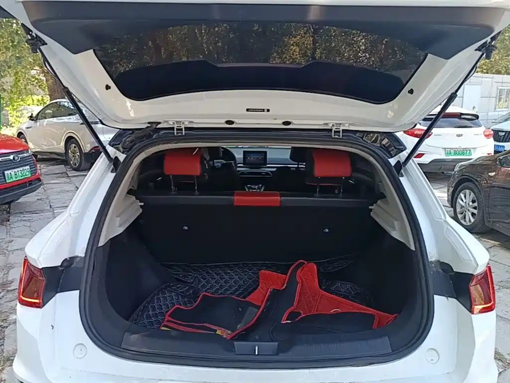 BYD e2 2019 2019 Long Range Yao·Luxury Model