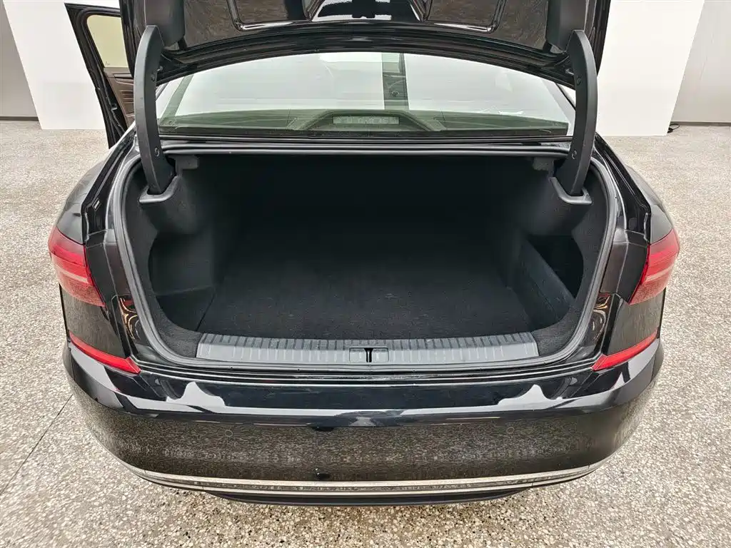 Volkswagen Passat 2020 330TSI Luxury Edition China VI фото 17