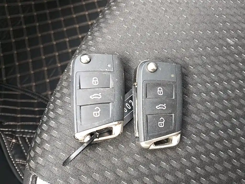 Фото 9 - Volkswagen Tanying
