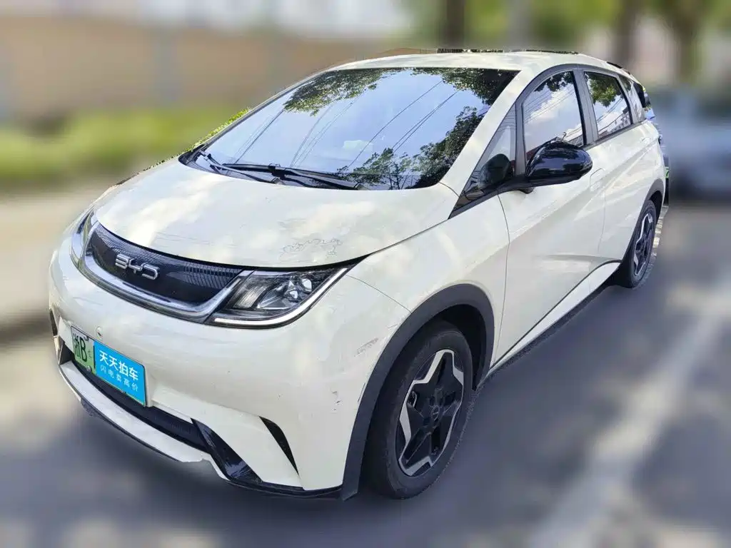 BYD Dolphin 2021