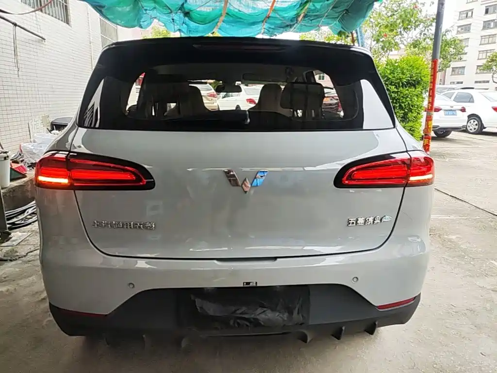 Wuling Motors Wuling Binguo PLUS 2024 2024 401km Range 5-seater