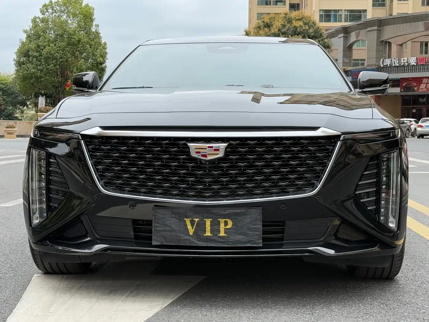 Cadillac CT6 2023 28T Luxury Edition фото 2