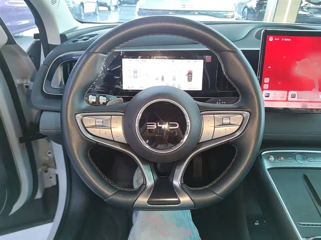 BYD Hai Shi 05 EV 2025 520KM Smart Navigation Edition фото 11
